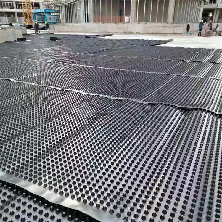 CE ISO9001 ISO14001 Polypropylene PP Biaxial Geogrid Low Factory Price 15 15kn 20 20kn 30 30kn 40 40kn Sale Max Black Style