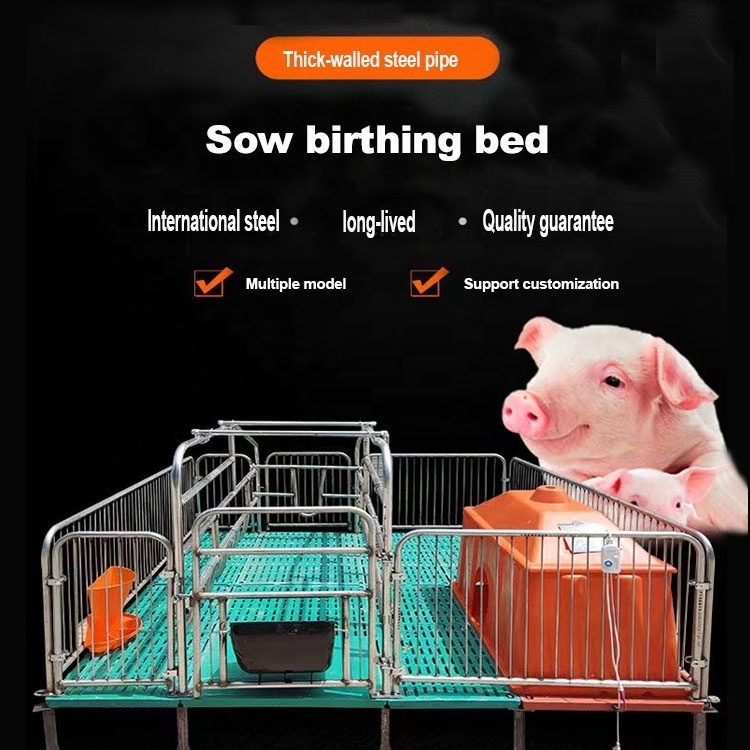 Customized Steel and Plastic Galvanized Sow Farrowing Bed Used Pig Farming Nursery Pen Maternity Cage Swine Farrowing Crates