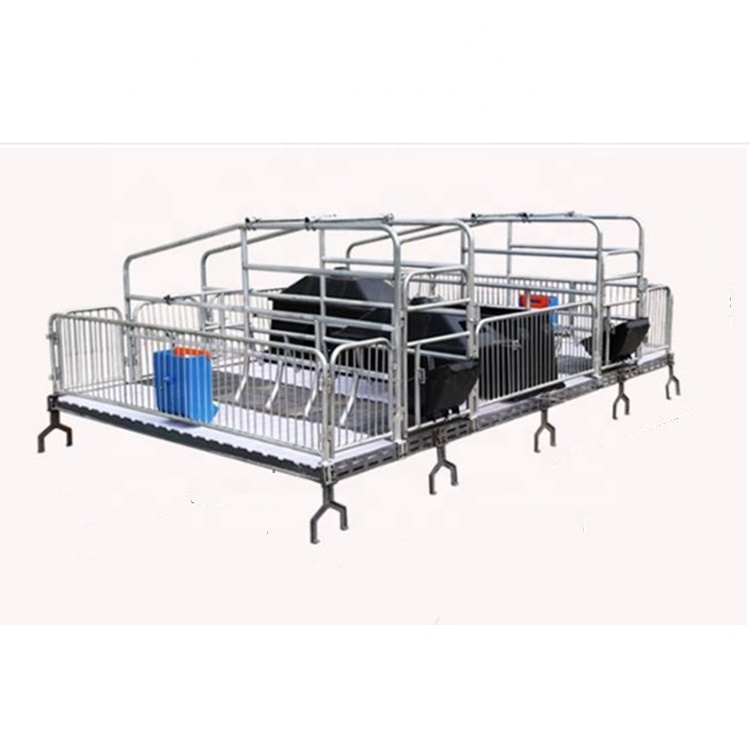 2022 Two sow farrow creates pig farming equipment price Farming Maternal Cages For Pigs