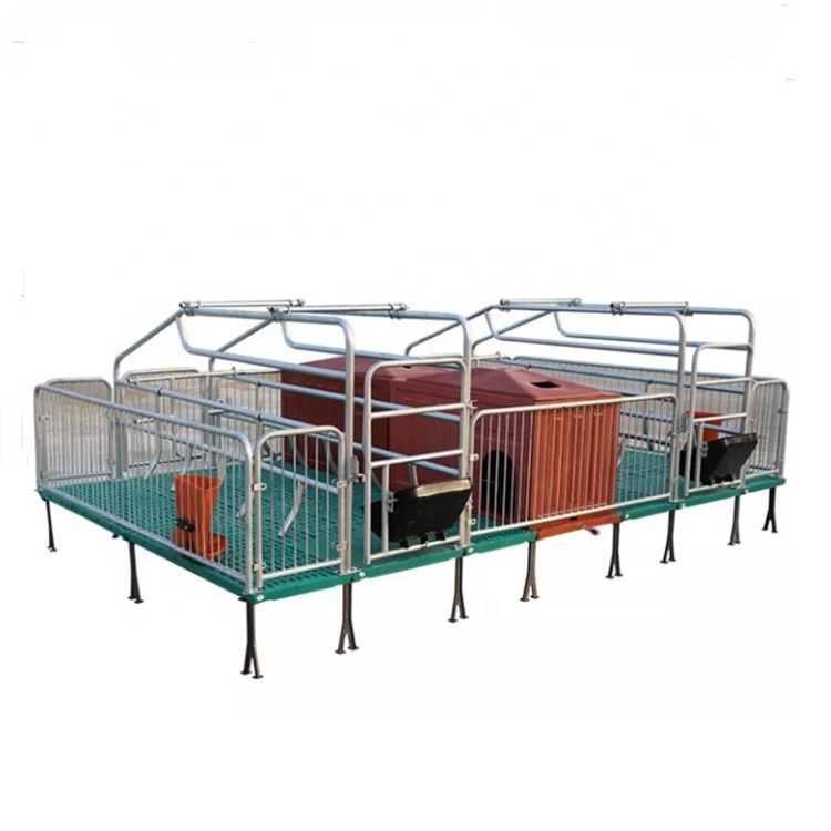 2022 Two sow farrow creates pig farming equipment price Farming Maternal Cages For Pigs