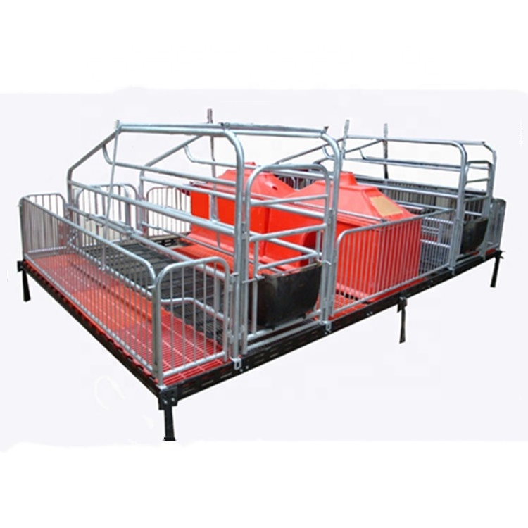 2022 Two sow farrow creates pig farming equipment price Farming Maternal Cages For Pigs