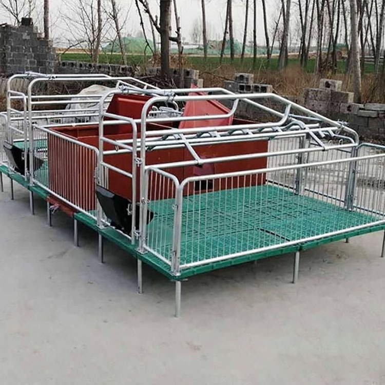 Customized Steel and Plastic Galvanized Sow Farrowing Bed Used Pig Farming Nursery Pen Maternity Cage Swine Farrowing Crates