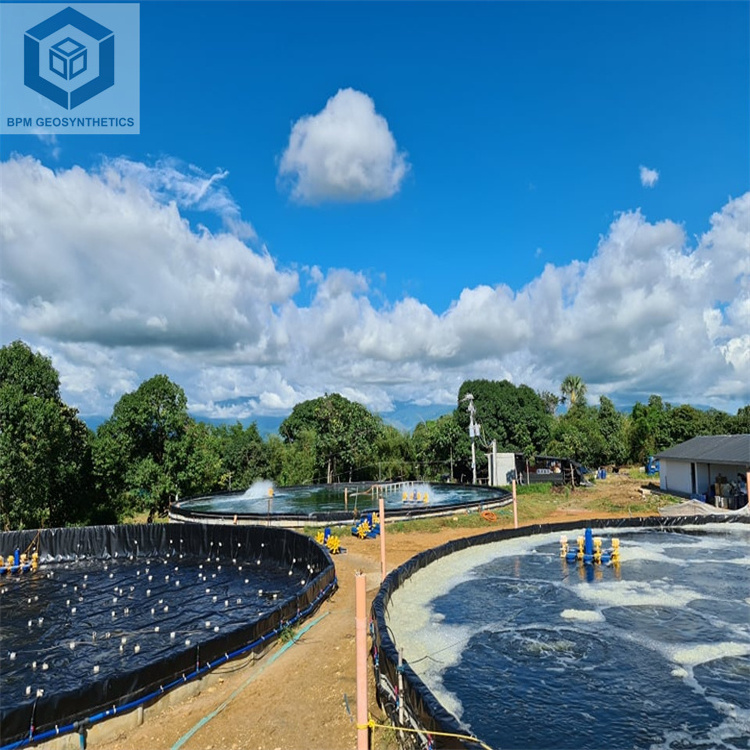 1mm Thickness HDPE Tank Pond Plastic Liners 2m Diameter for Fish Farming in Philippines