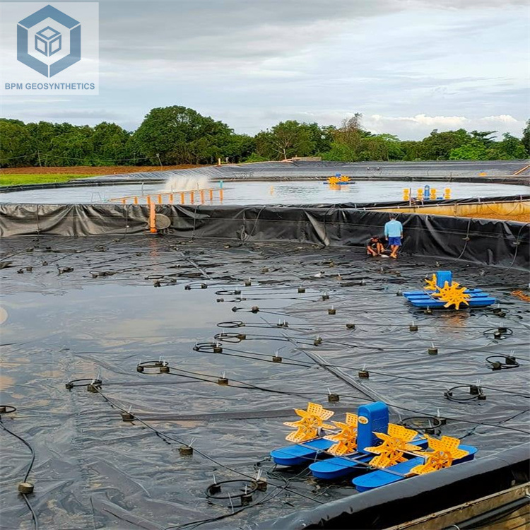 1mm Thick Geomembrane Polyethylene HDPE Pond Liner Used for Fish Farm Material Ground