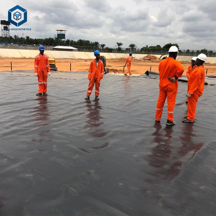 High Quality Portable Sealant HDPE Geomembrane Pond Liner for Mining Tailings Pond Project