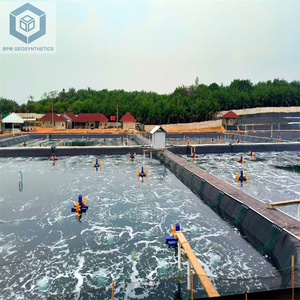 High Density Polyethylene Roll HDPE Pond Liner and Underlay Big Pond Liners for Fish Farming in Philippines