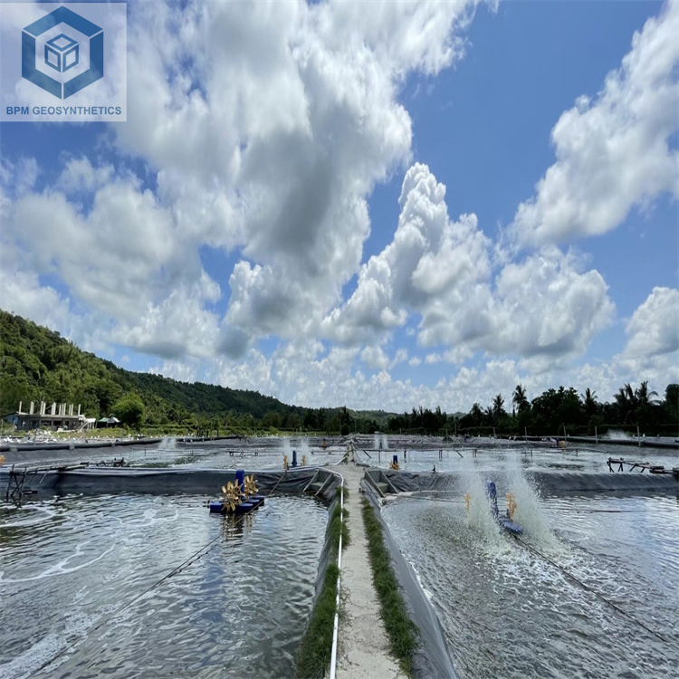 1mm Thickness HDPE Tank Pond Plastic Liners 2m Diameter for Fish Farming in Philippines