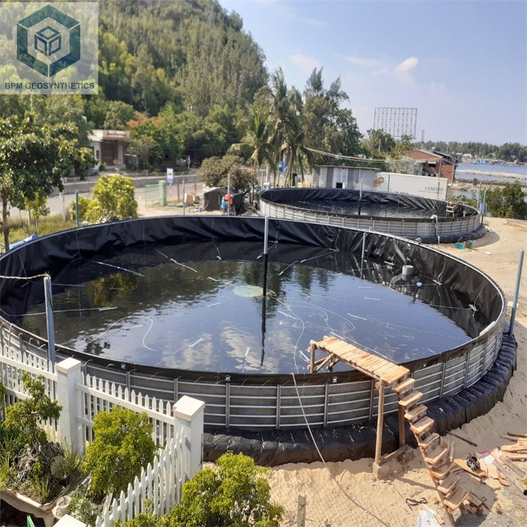 Farm Pond Liner 1mm HDPE Waterproofing Geomembrane for Fish Pond in Philippines