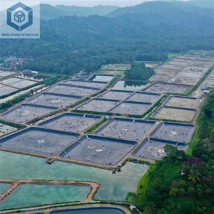 Geomembrane Pond Liner Fish Farm Geomembranes HDPE Smooth Geomembrane For Aquaculture