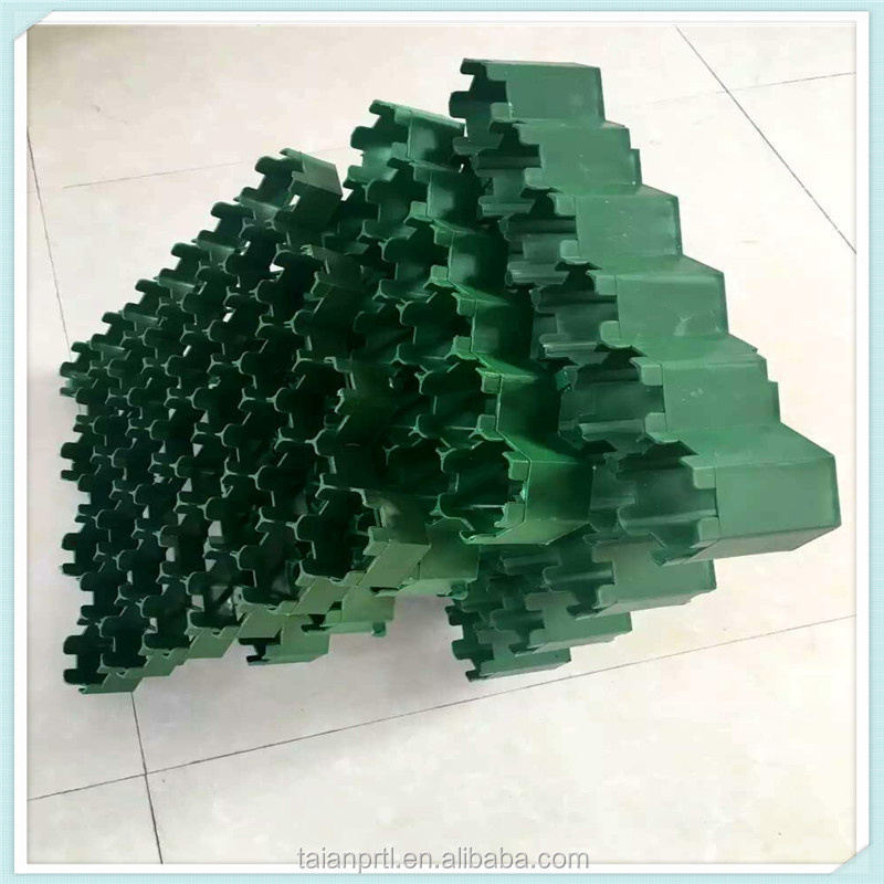 Hot Sales/Plastic Paving Grass Lawn Grids/H38mm/HDPE Green