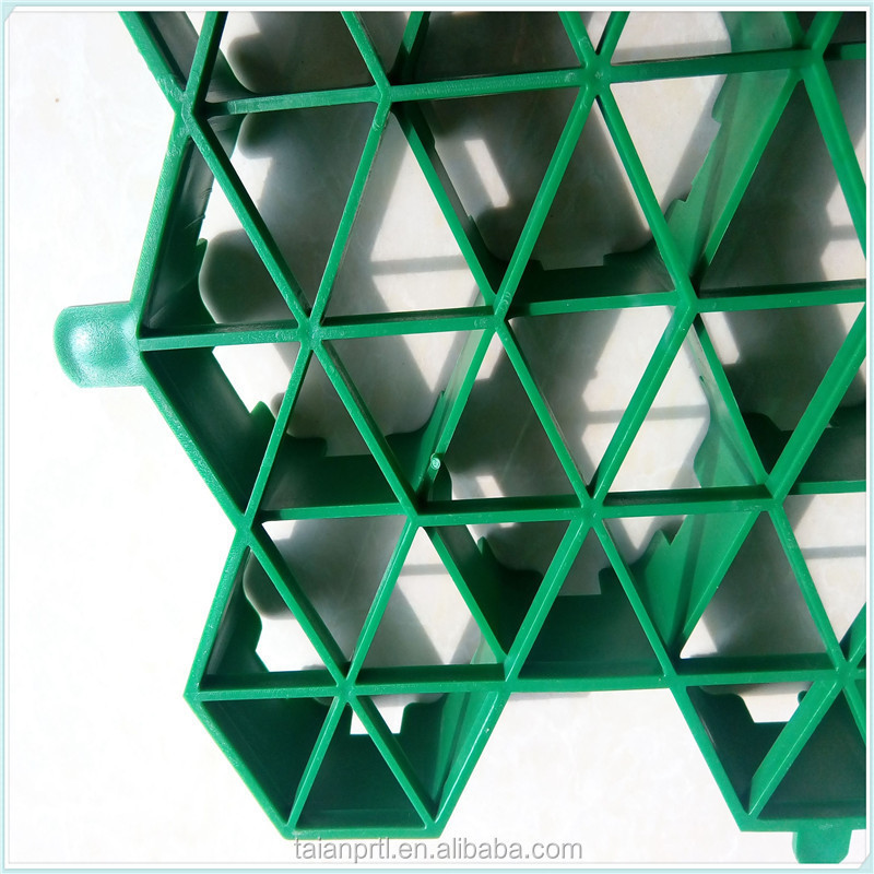 Hot Sales/Plastic Paving Grass Lawn Grids/H38mm/HDPE Green