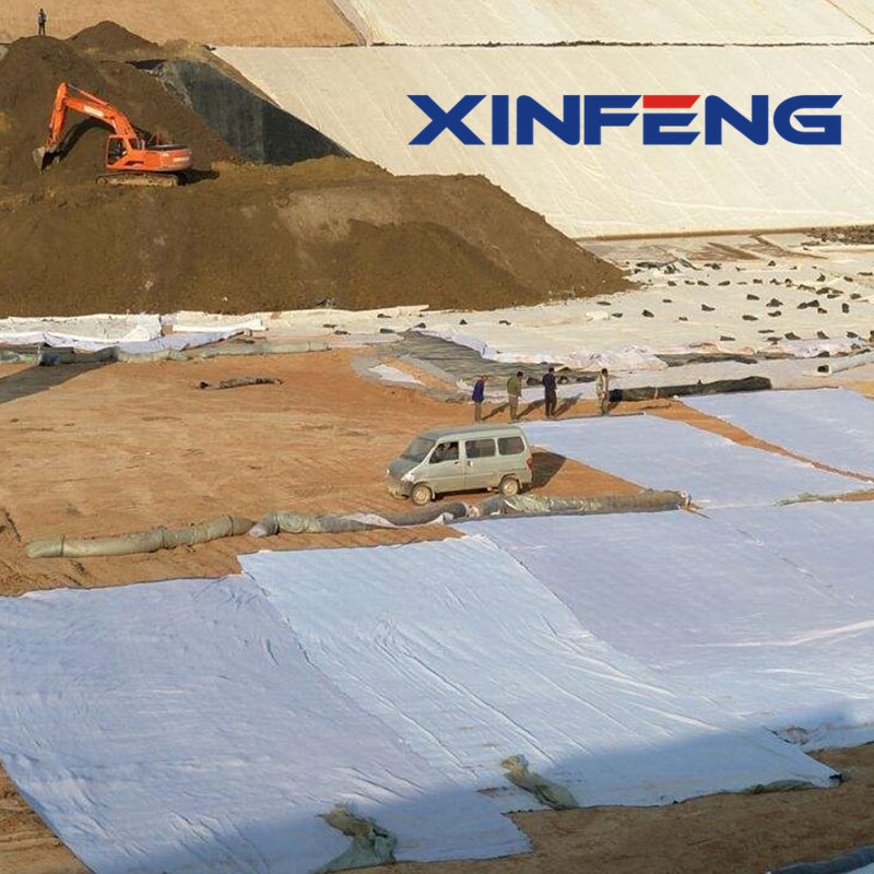 Berserk Modern Bentonite Gcl Geosynthetics Clay Liner Price Gcl Outdoor Gcl Bentonite Waterproof Blanket