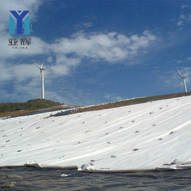 HDPE LDPE LLDPE  1mm Plastic Dam Pond Liner 1.5mm 2mm Landfill Biodigester Liners Geomembrane