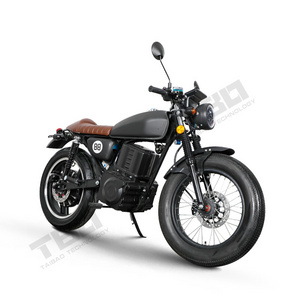 Fast Speed 2000w   Two-wheeled Big Tire CG New Energy Battery Electric Vehicle   Electric Motorcycle