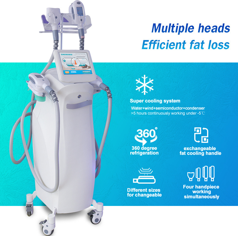 Professional Cool Body Sculpt Machine Fat Freezing Criolipolisis 360 Slimming Equipment for Cellulite Removal