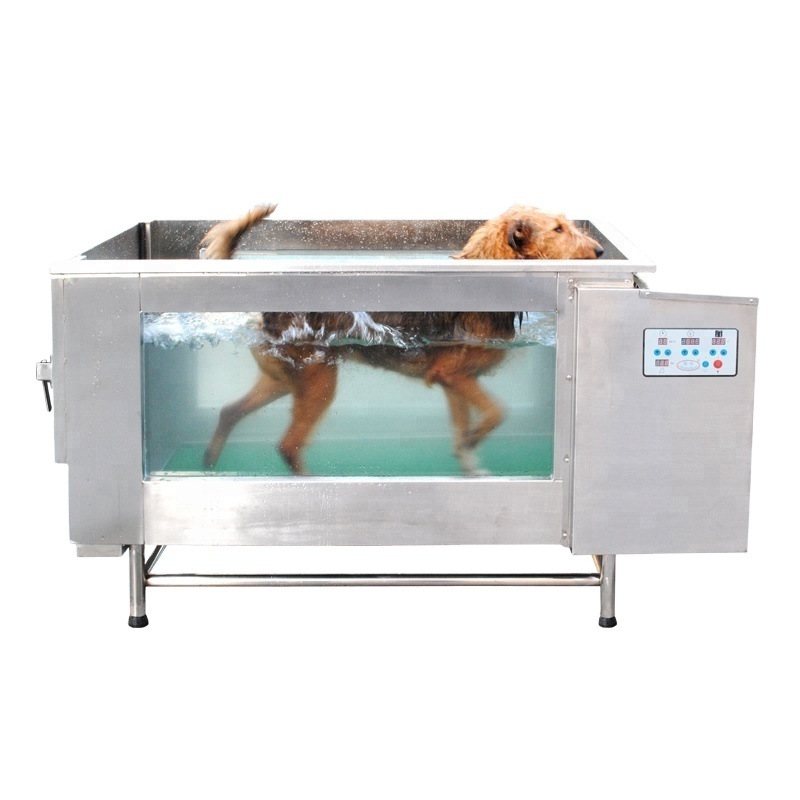 Hydrotherapy Large Pet Water Treadmill Running and Training Machine Underwater Treadmill for Dogs