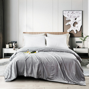 Factory Direct Home Hotel Summer Chinese Silk Duvet/Quilt for Sleep