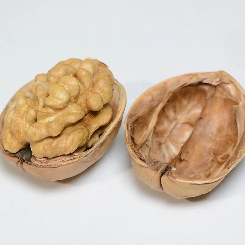 High Quality Bulk Fresh Walnuts Amber Price 32+ China with Shell Nutrition Dried Fruit Natural Bulk Packaging Food Raw Materials