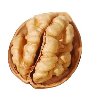 High Quality Bulk Fresh Walnuts Amber Price 32+ China with Shell Nutrition Dried Fruit Natural Bulk Packaging Food Raw Materials