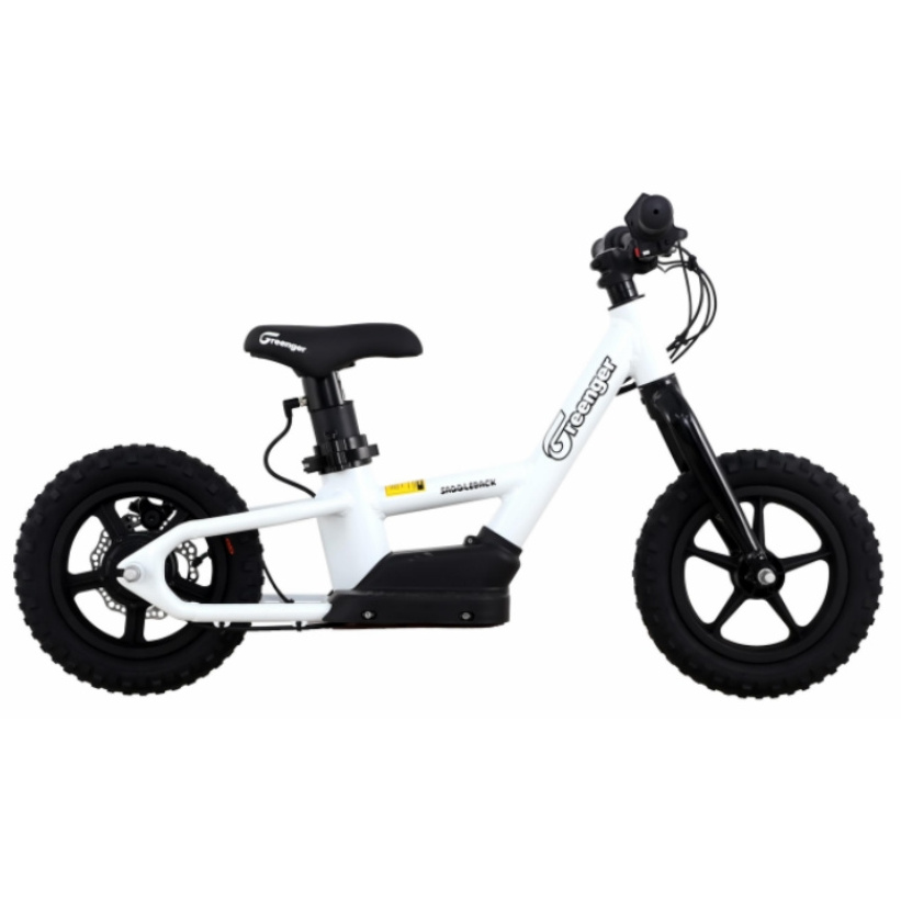 TAILG Factory Price Lithium Battery Children Little Mini Kids Bikes Electric Motorcycle For Kids