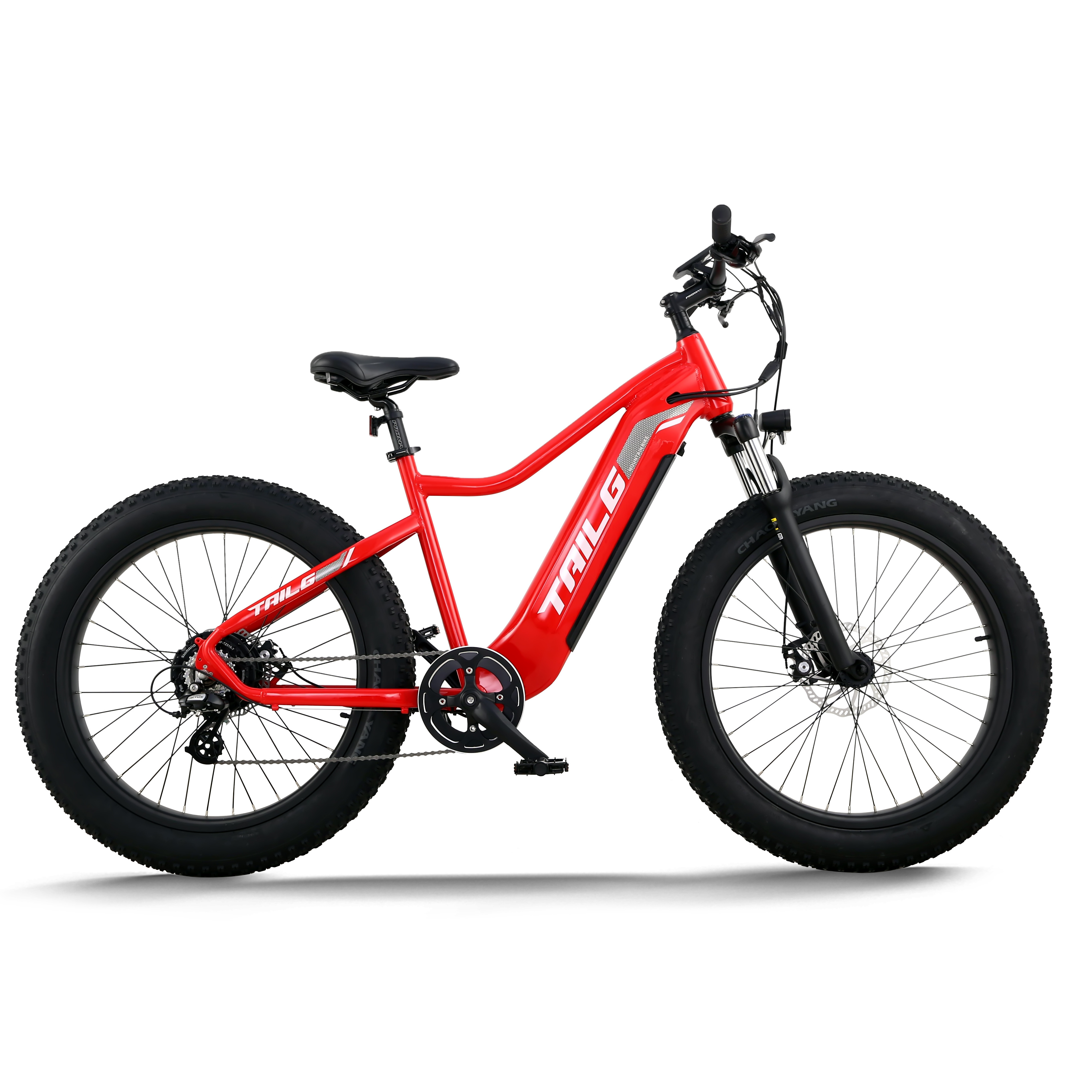 Tailg Wholesale Price Long Range 48V Super Power Road Mountain E Bike Electric Bicycle Snow Ebike For City