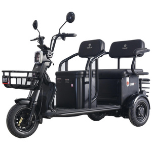 Tailg China Factory Best Quality Hot Sell In Philippines 3 Seaters Passenger Tricycle Electric Pedicab Rickshaw