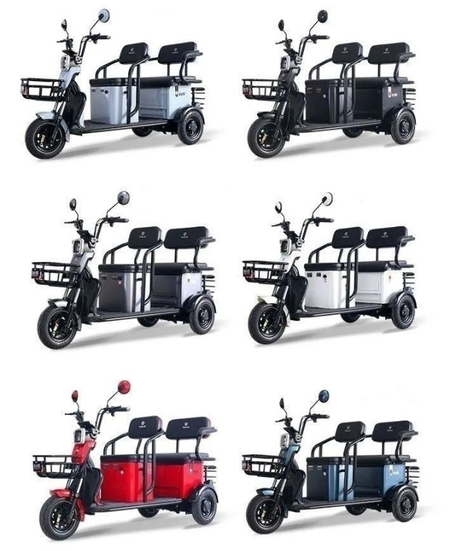 Tailg China Factory Best Quality Hot Sell In Philippines 3 Seaters Passenger Tricycle Electric Pedicab Rickshaw