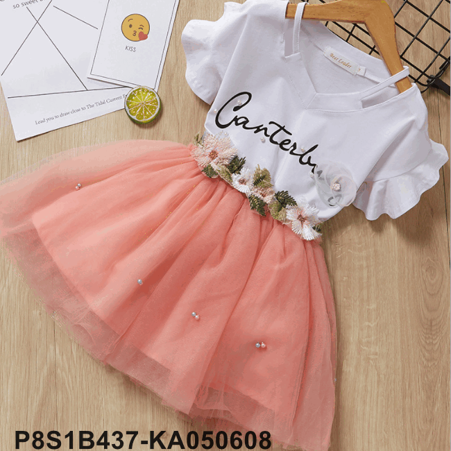 Girls Clothing Sets 2019 Summer Princess skirt Girl top+skirt 2pcs Set Children Clothing Dresses