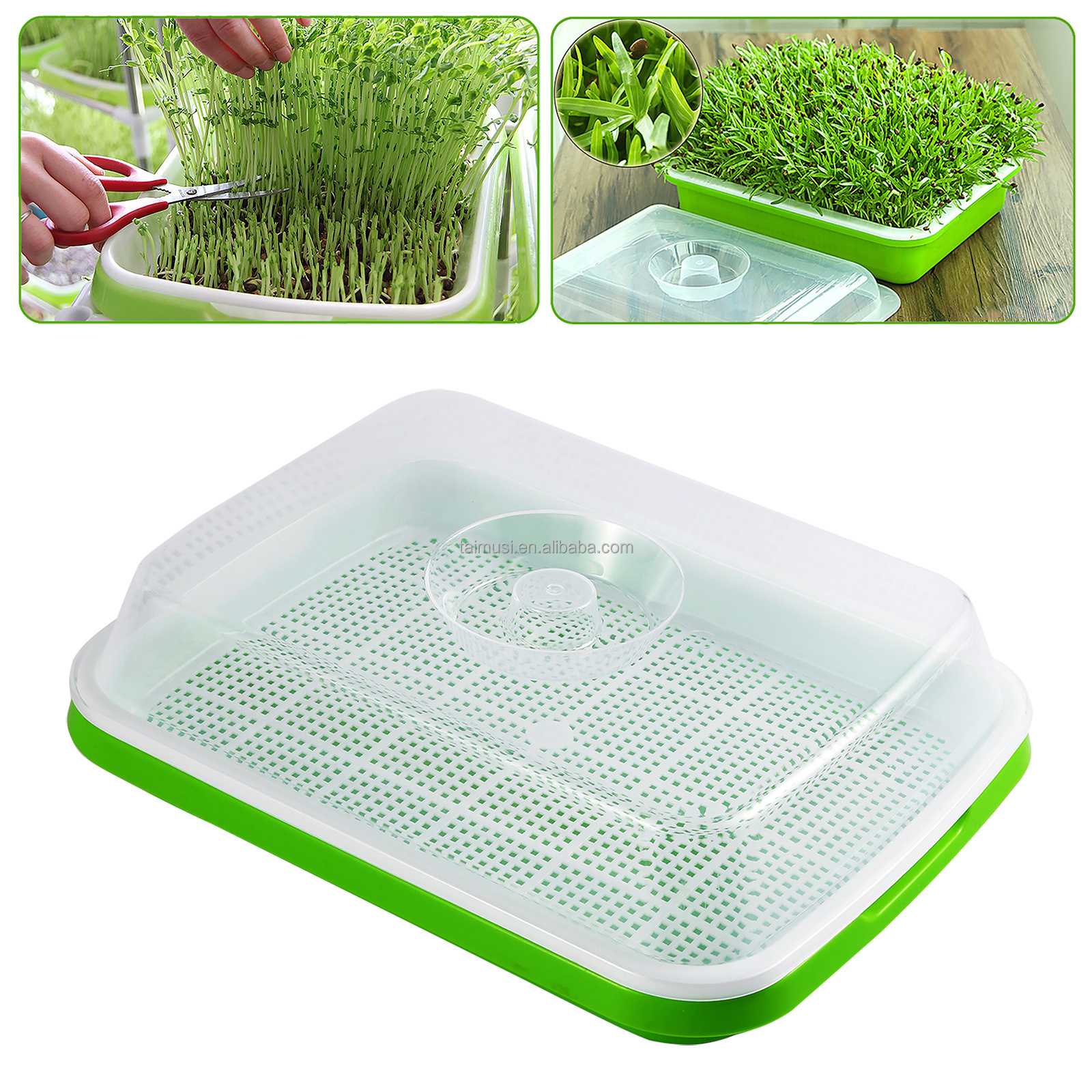 Pea Bean Sprouts Wheat Seedlings Cat Grass Gardening Hydroponics Seedling Tray Seed Soilless Cultivation Germination Tray