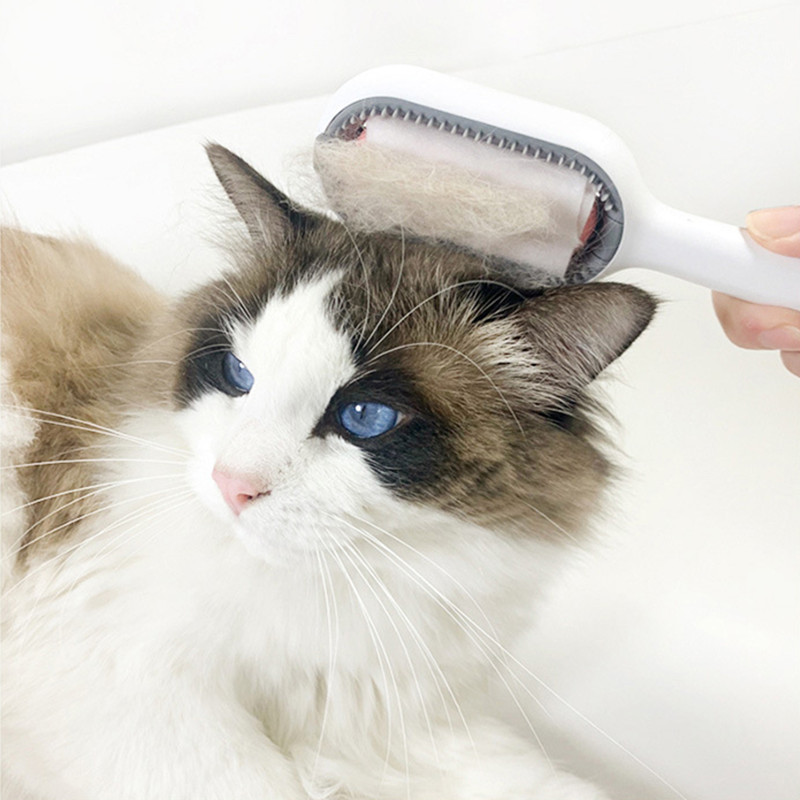 2022 New Tool Massage Comb Cleaning Slicker Hair Removal Animal Cat Dog Comb Pet Grooming Brush