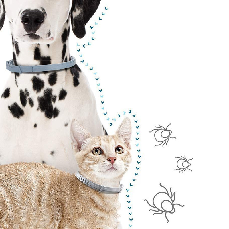 Custom Support Soft Silicone Comfortable Pet Anti Flea and Tick Collar Cat Dog Safety Collar