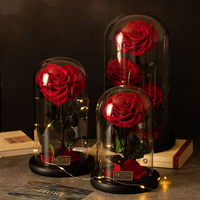 Best China Wholesale Real Touch Rosas Eternas Preservadas Forever Fresh Flower Eternal Preserved Rose In Glass Dome