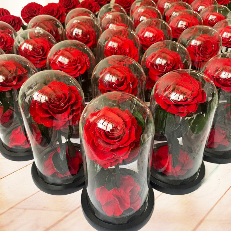 Best China Wholesale Real Touch Rosas Eternas Preservadas Forever Fresh Flower Eternal Preserved Rose In Glass Dome