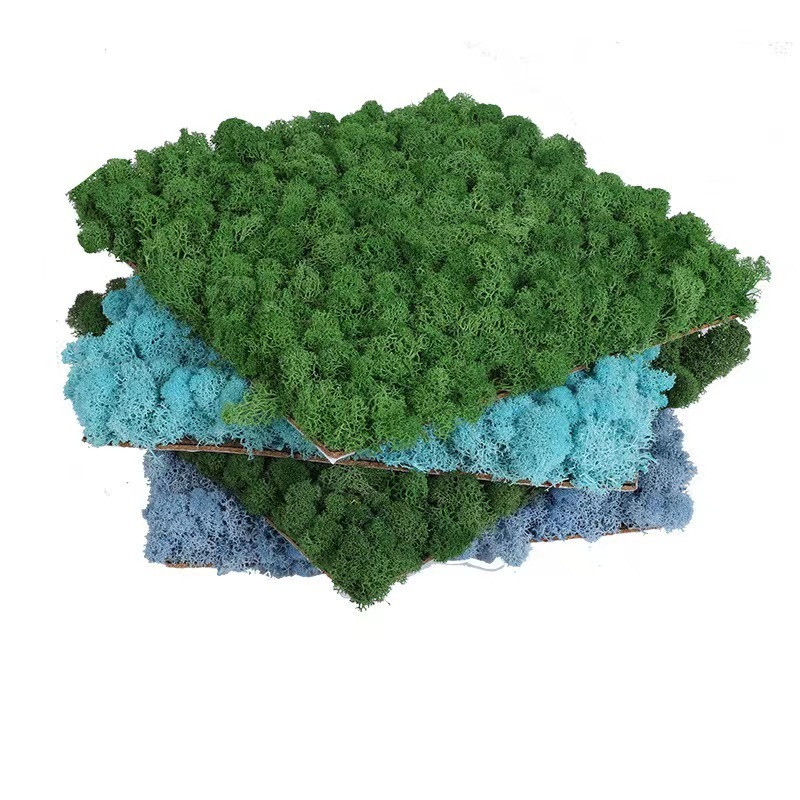 Natural reindeer lichen moss decoration flower preserved moss wall custom-made preserved moss panel