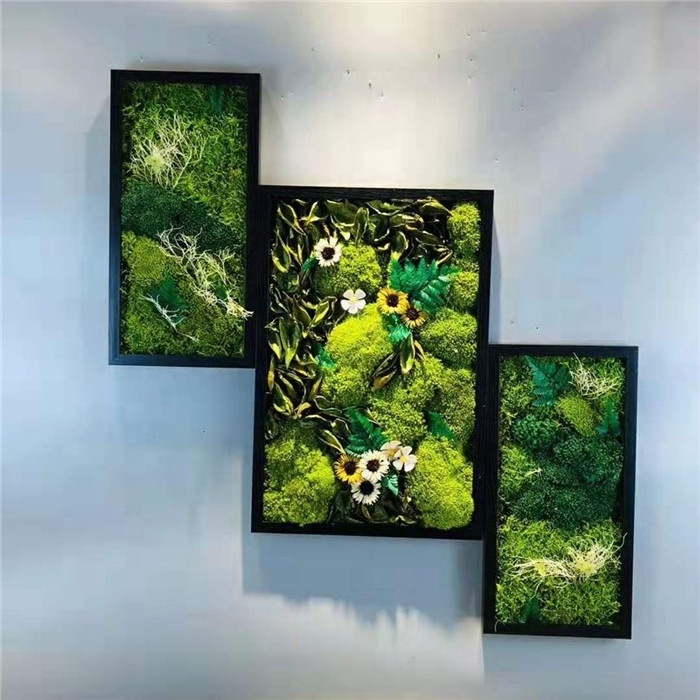 Wall decoration preserved preserved  moss preserved reindeer moss wall hanging frame