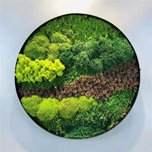 Wall decoration preserved preserved  moss preserved reindeer moss wall hanging frame