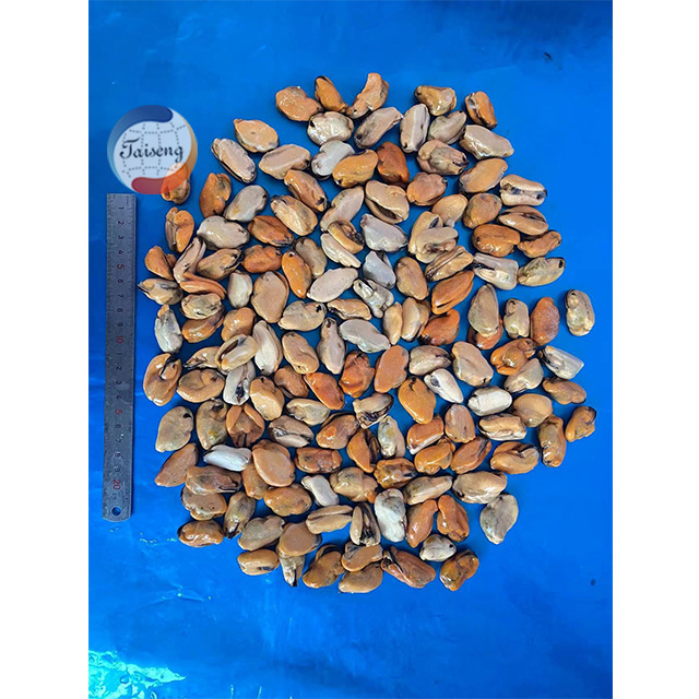 High Quality Frozen half mussels blue mussel shells with meat