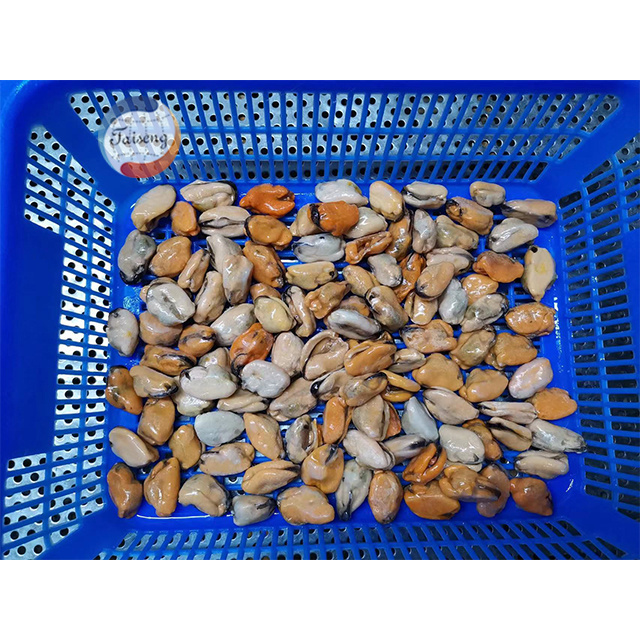 High Quality Frozen half mussels blue mussel shells with meat