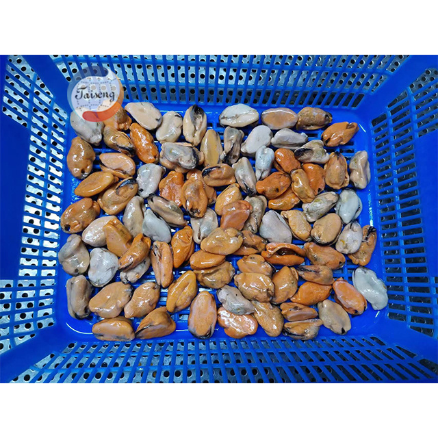 High Quality Frozen half mussels blue mussel shells with meat