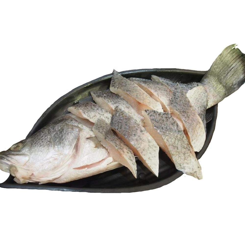 Frozen Barramundi Silver Sea Perch Fish