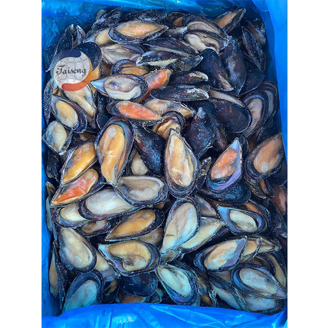 High Quality Frozen half mussels blue mussel shells with meat