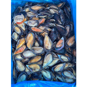 High Quality Frozen half mussels blue mussel shells with meat