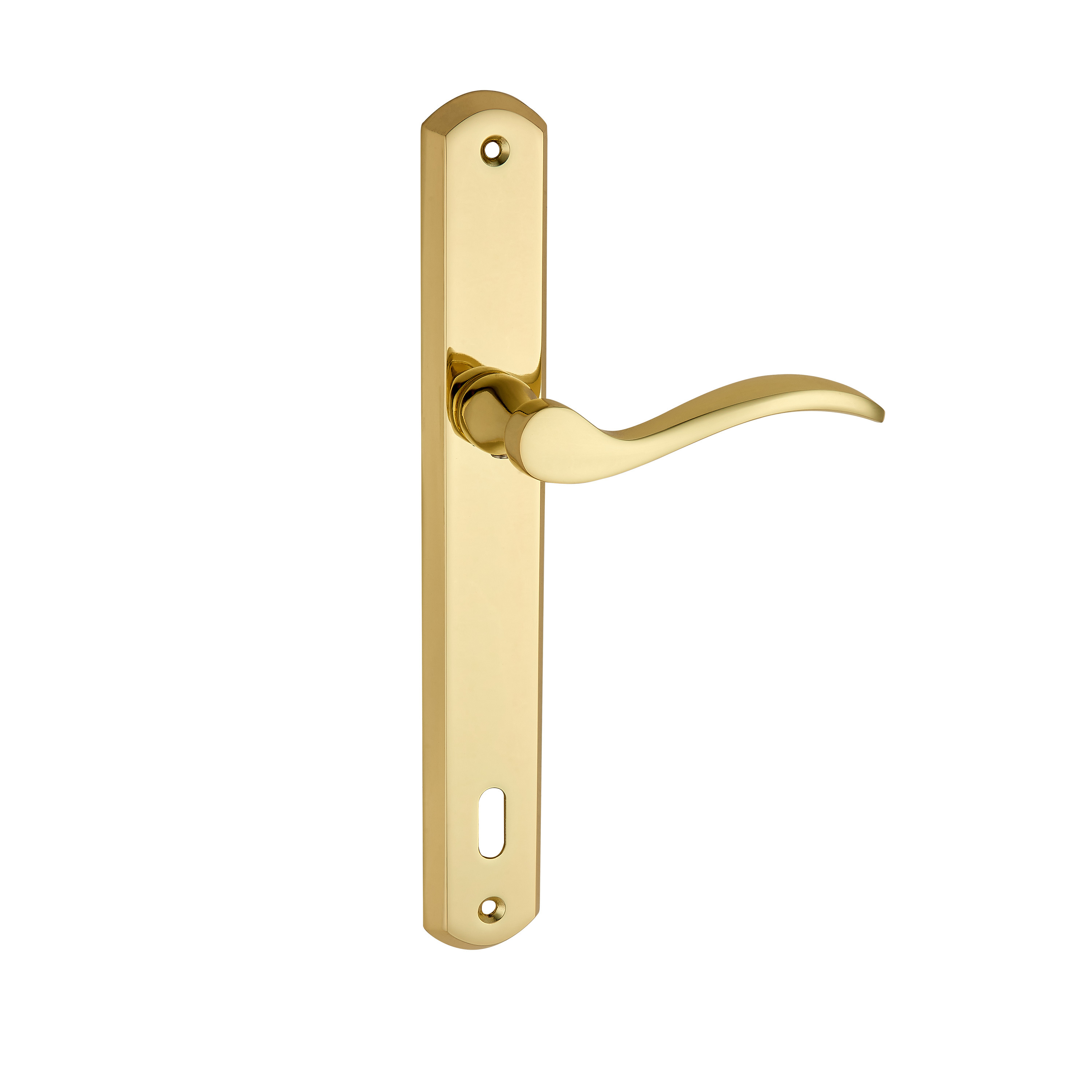 European simple design gold interior door handle