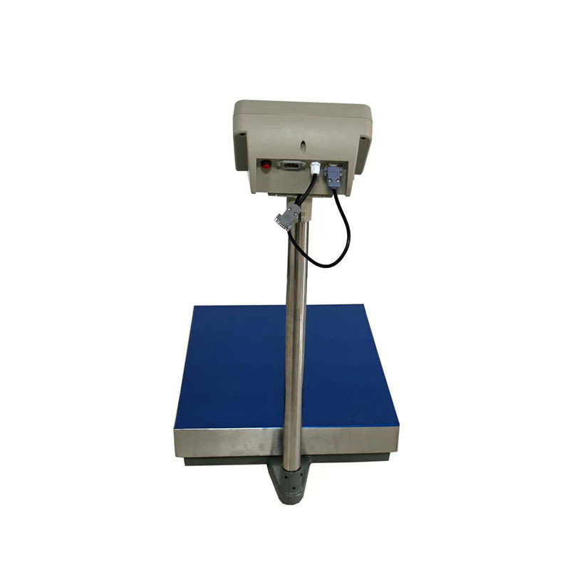 Dingfeng Factory supplier 300kg,500kg folding mobile Electronic platform scale electronic platform measuring scale industrial