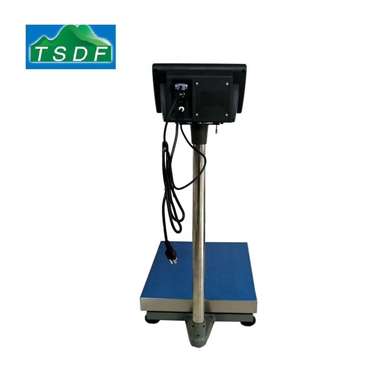 Dingfeng Factory supplier 300kg,500kg folding mobile Electronic platform scale platform scale electronic weighing scales