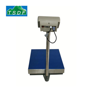 Dingfeng Factory supplier 300kg,500kg folding mobile Electronic platform scale electronic platform scale measuring scale