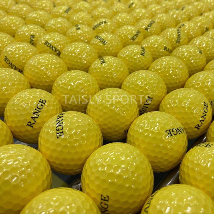 Custom logo driving range 2 layer balles de golf balls