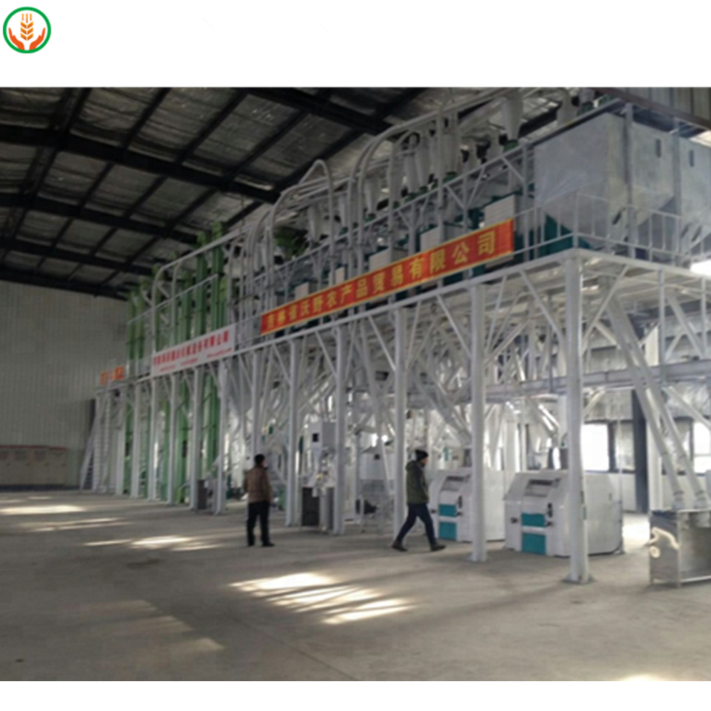 maize processing machine to make flour and semolina / flour mill/semolina mill