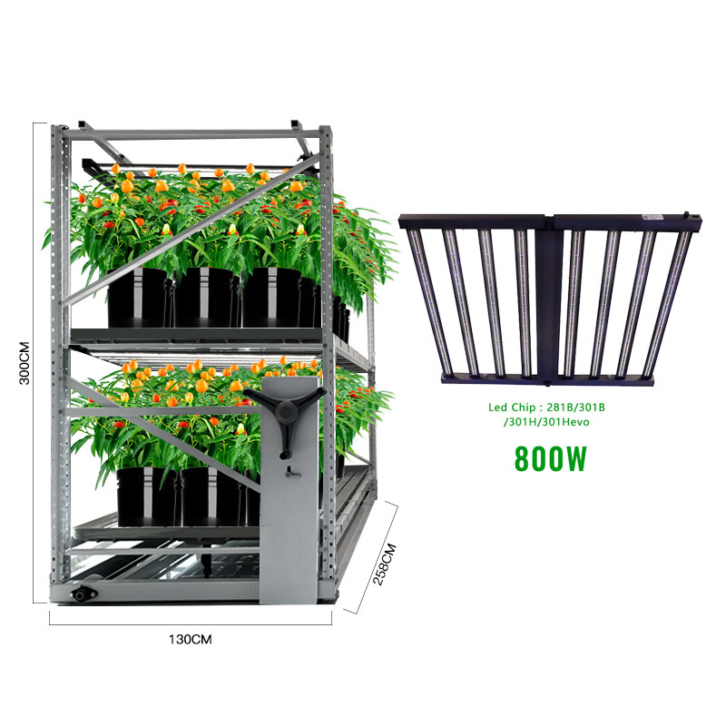 Samsung 281b 301b 301h evo grow rack include 800w led grow light for indoor fruit vegetables plants growing seeding with hydropo