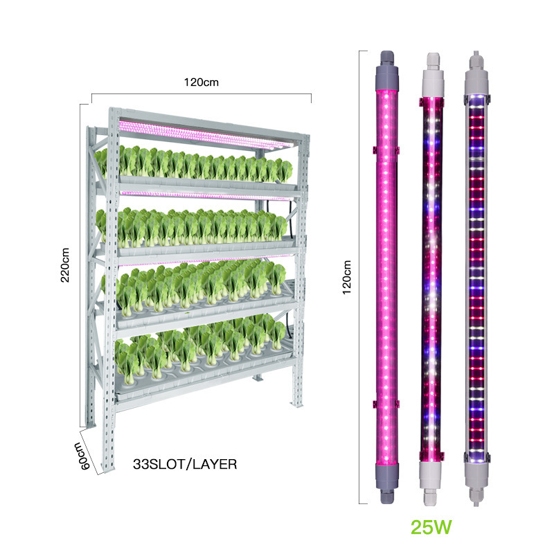 Samsung 281b 301b 301h evo grow rack include 800w led grow light for indoor fruit vegetables plants growing seeding with hydropo